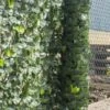 Woodside Artificial Faux Ivy Leaf Garden Fence/Wall Privacy Screening Hedge -Serene Spaces 0IDTNOF1GN4