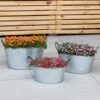 Woodside Vintage Galvanised Steel Garden & Home Flower Planter Tubs, Pack Of 3 -Serene Spaces 0N4DLNMWQJA