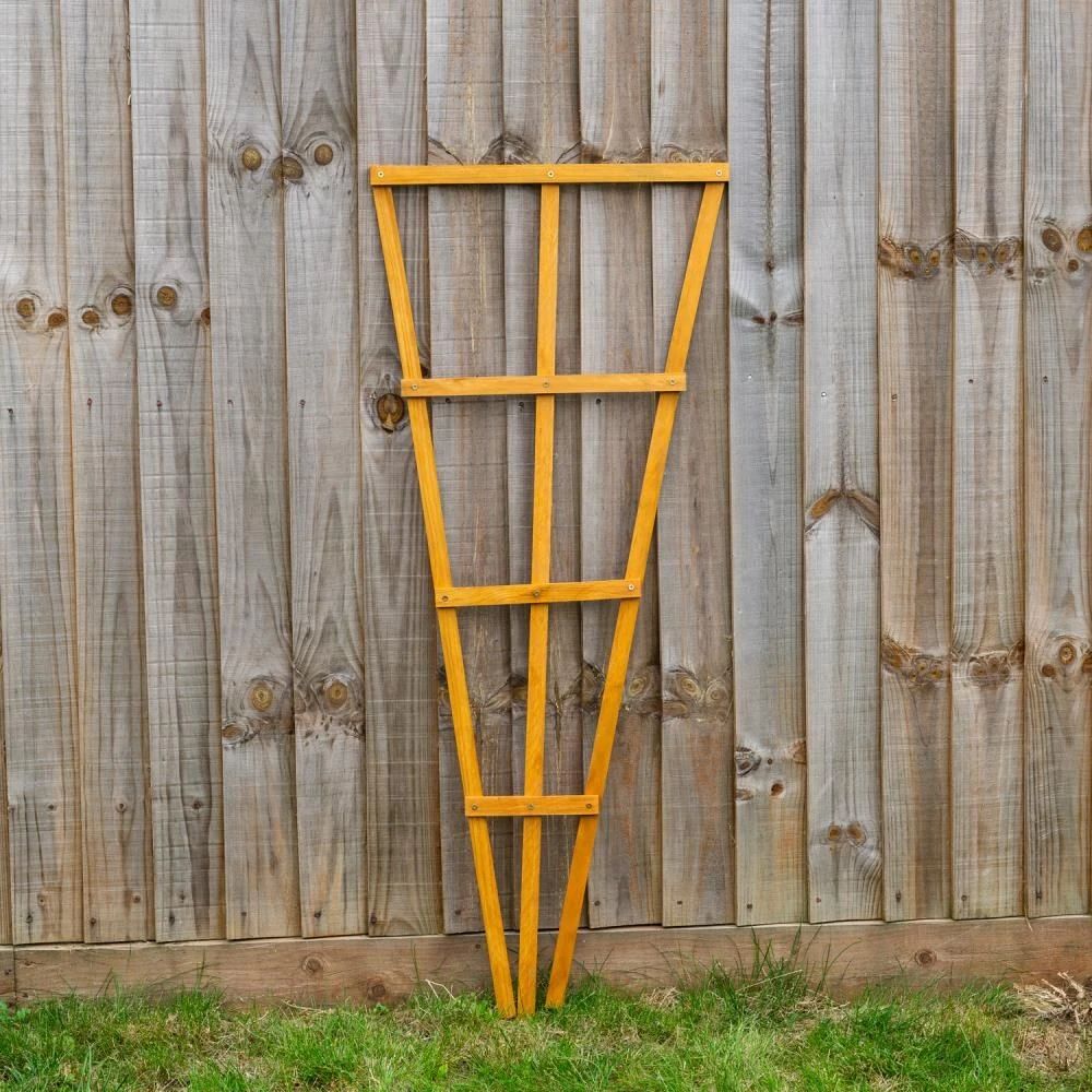 Woodside 1.2m Wooden Garden Fan Trellis, Climbing Plant/Flower Support- 2 Pack 3 Woodside 1.2m Wooden Garden Fan Trellis, Climbing Plant/Flower Support- 2 Pack