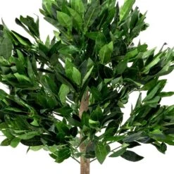 Woodside Artificial Topiary Bay Leaf Tree 4ft Indoor Outdoor Plant (pack Of 2) -Serene Spaces BMY25IKWGGH