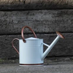 Woodside 9L Metal Garden And Plant Watering Can With Rose -Serene Spaces BS5JS4QXIJW