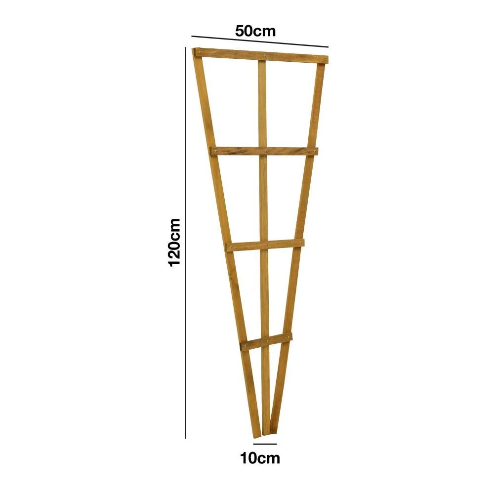 Woodside 1.2m Wooden Garden Fan Trellis, Climbing Plant/Flower Support- 2 Pack 8 Woodside 1.2m Wooden Garden Fan Trellis, Climbing Plant/Flower Support- 2 Pack - Image 6