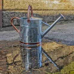 Woodside 9L Metal Garden And Plant Watering Can With Rose -Serene Spaces BZ2SPSLAIL0