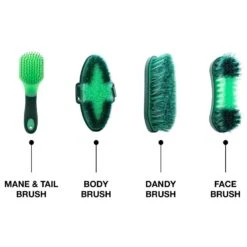 Woodside 8 Piece Equestrian Grooming Set For Horses & Ponies With Carry Case -Serene Spaces CD2SC1WKGL5