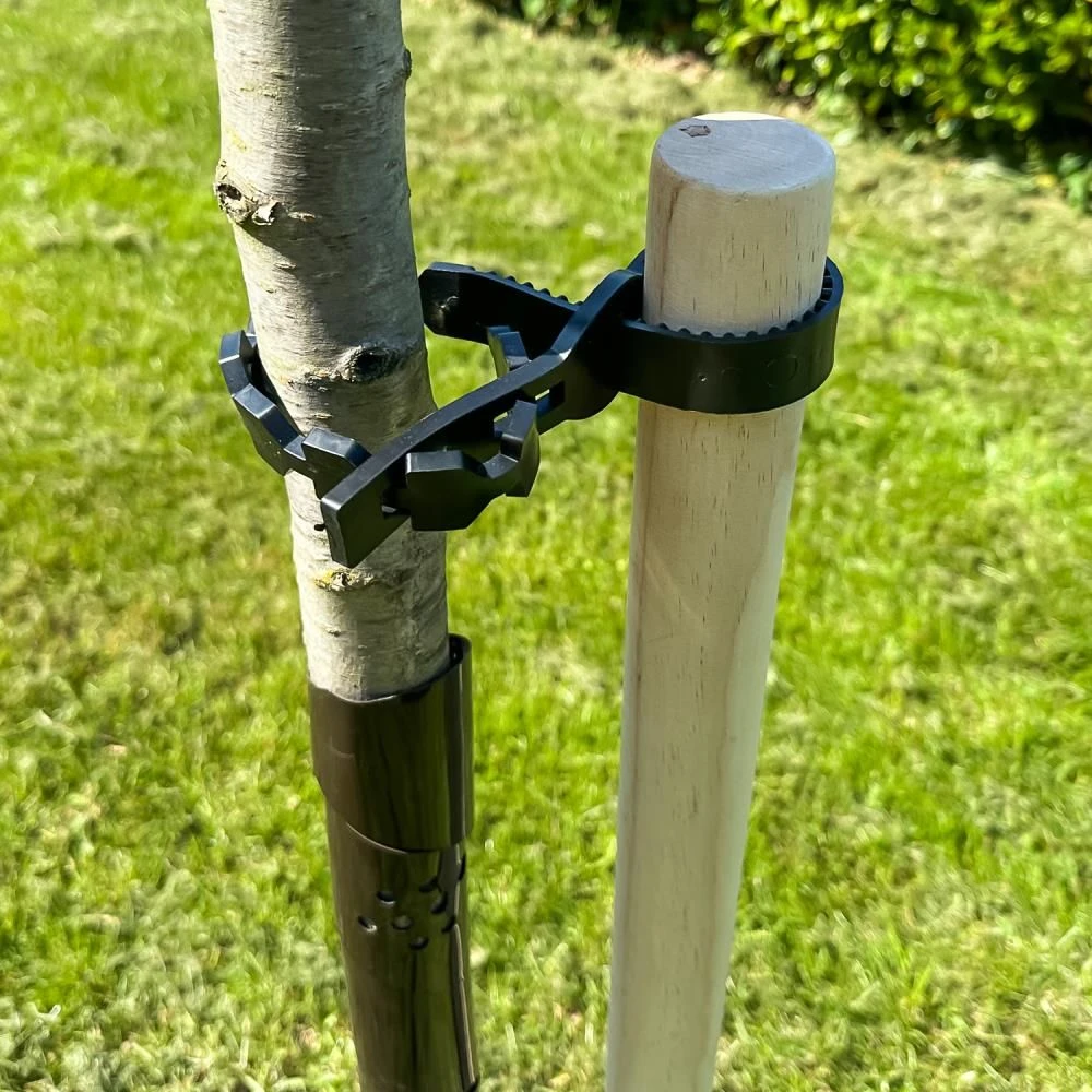 Woodside Garden Tree Sapling Support Stake Pack With Tie & Sleeve 4 Woodside Garden Tree Sapling Support Stake Pack With Tie & Sleeve - Image 2