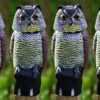 4 X Woodside Large Realistic Bird/Pigeon/Crow Owl Decoy With Rotating Head -Serene Spaces HADNVQZCIOD