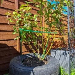 Serene Spaces -Serene Spaces HQOIYJ1QDXR