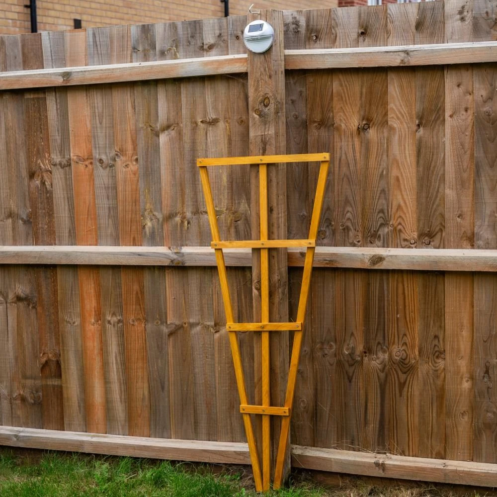 Woodside 1.2m Wooden Garden Fan Trellis, Climbing Plant/Flower Support- 2 Pack 5 Woodside 1.2m Wooden Garden Fan Trellis, Climbing Plant/Flower Support- 2 Pack - Image 3