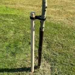 Woodside Garden Tree Sapling Support Stake Pack With Tie & Sleeve 12 Woodside Garden Tree Sapling Support Stake Pack With Tie & Sleeve -Serene Spaces SDUI4MGXGQJ