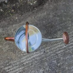 Woodside 9L Metal Garden And Plant Watering Can With Rose -Serene Spaces TOVNEBTSH0F