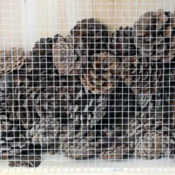 Woodside Standing Wooden Insect Hotel With Ground Stakes, Outdoor Bug/Bee House -Serene Spaces UWMHJKN124L