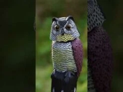 Serene Spaces -Serene Spaces hqdefault 3